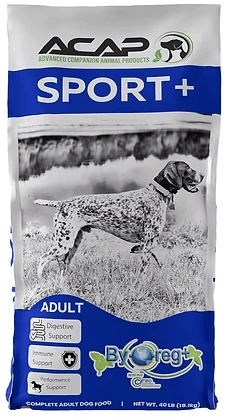 Sport Plus