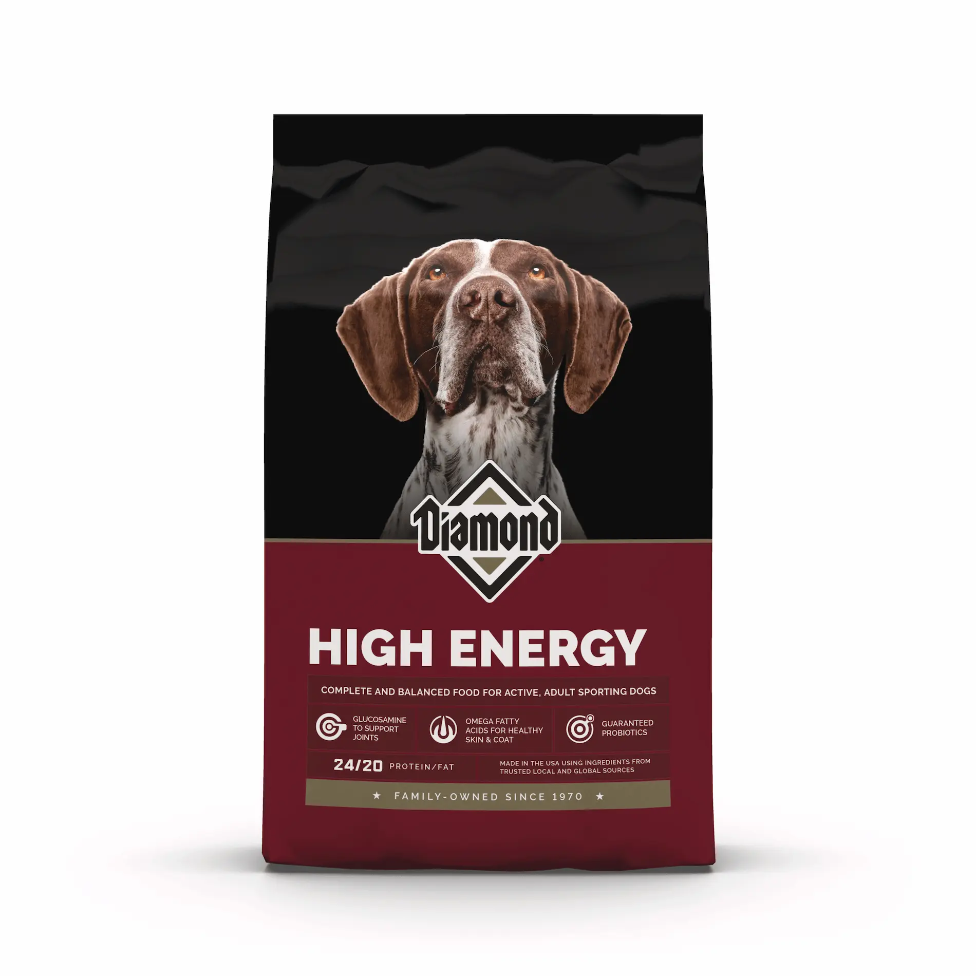 High Energy Dog