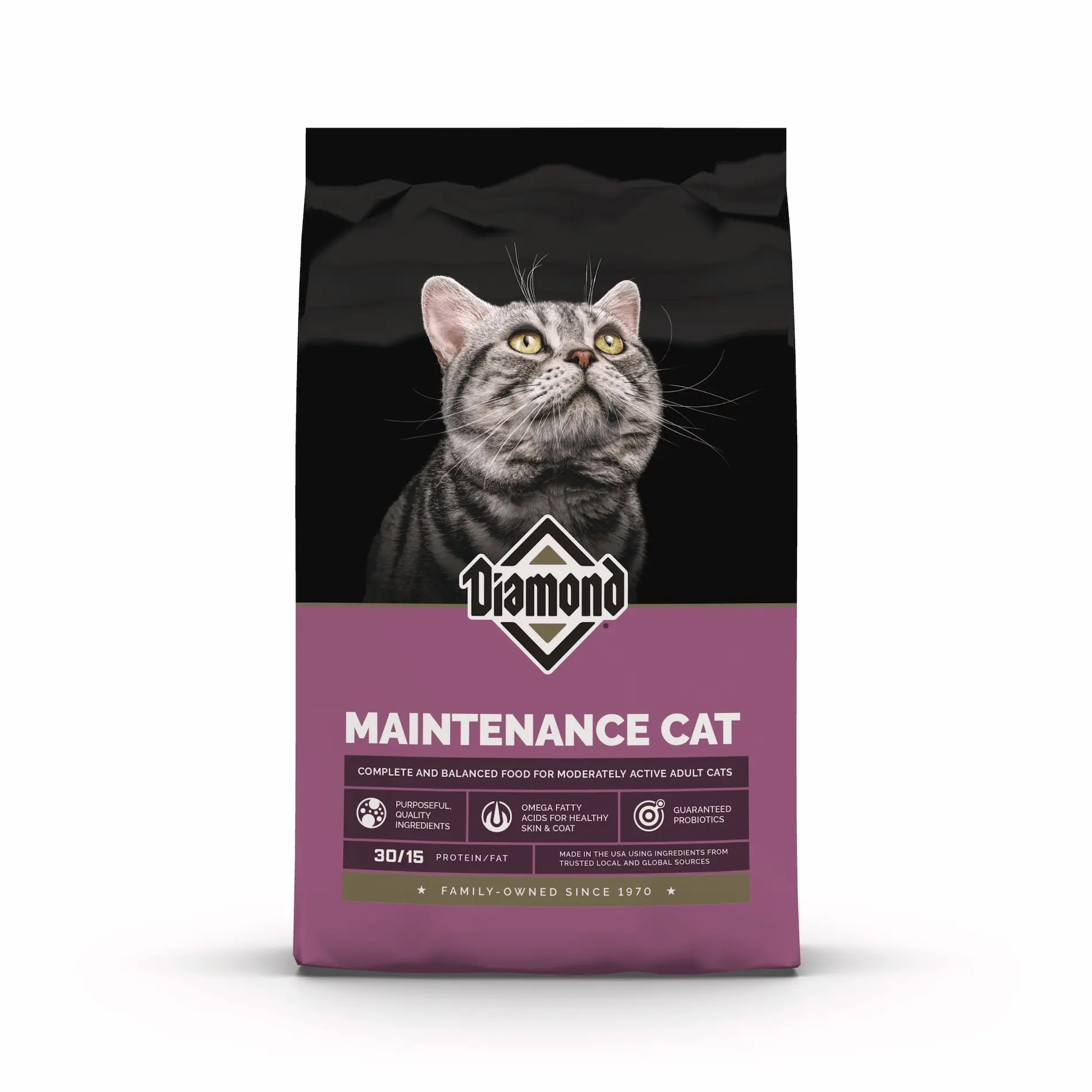 Maintenance Cat