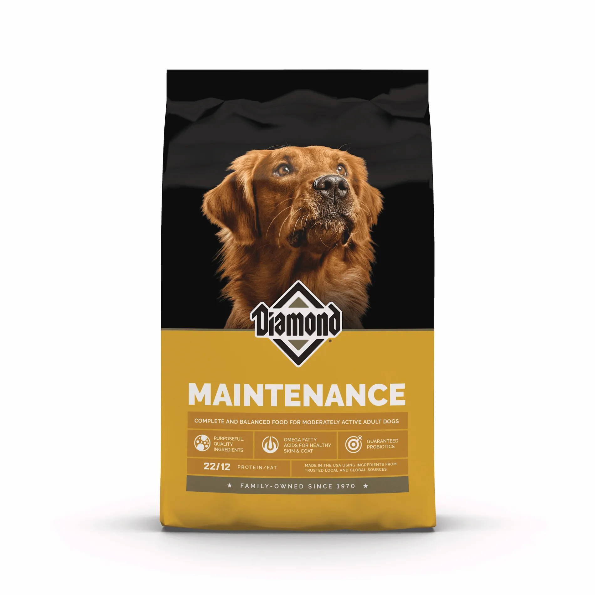 Maintenance Dog