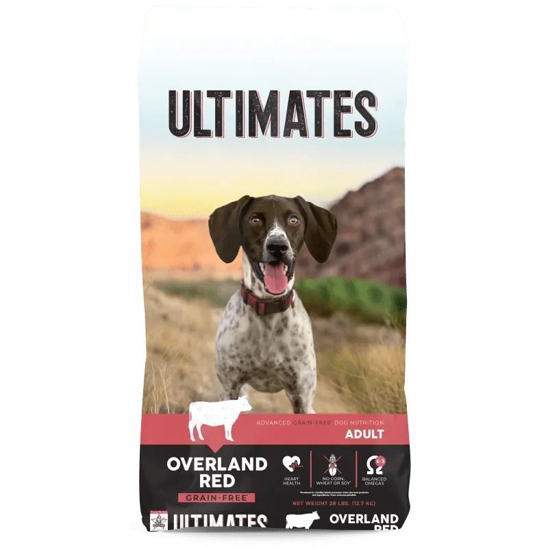 Overland Red For Adult Dogs